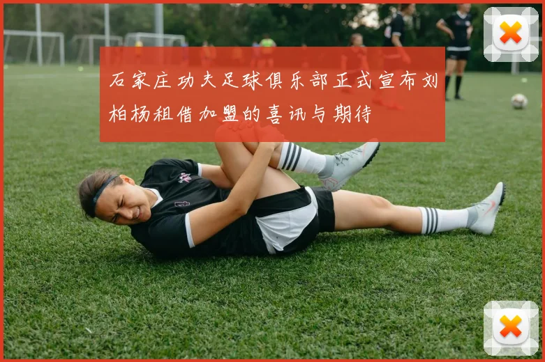 石家庄功夫足球俱乐部正式宣布刘柏杨租借加盟的喜讯与期待